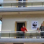 Το νέο μας μπαλκόνι... - WWF Ελλάς/Θ. Γιαννακάκης